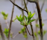 product detailed image