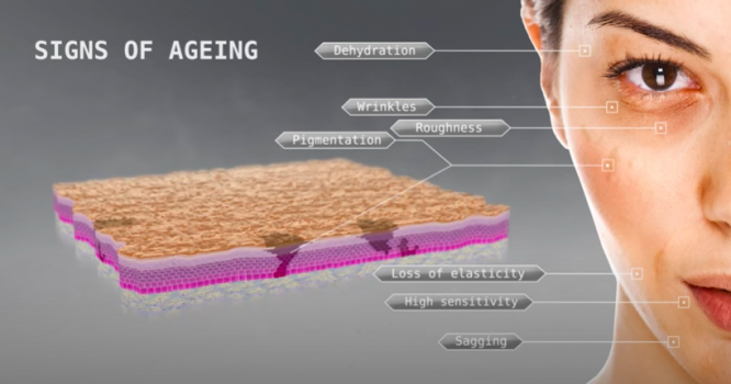 video Как нискомолекулната платина се бори с остаряването? cover photo